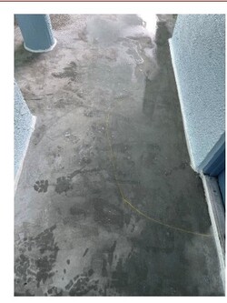 Typical ponding areas identified on the walkways